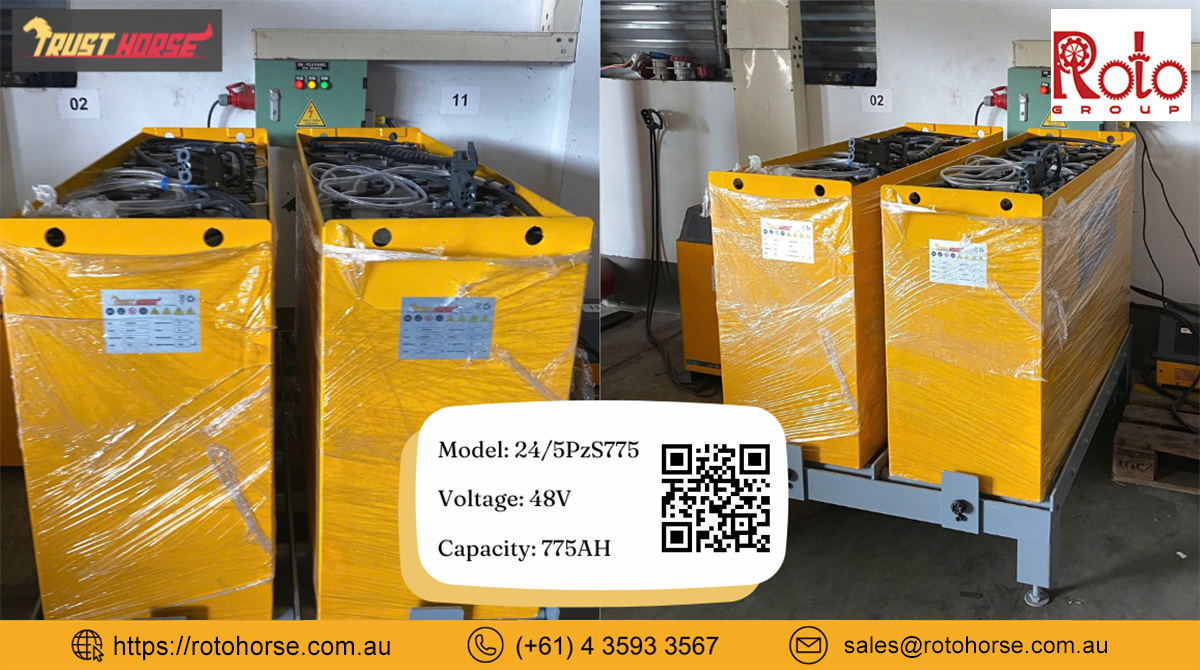 Trust Horse Battery 24/5PzS775