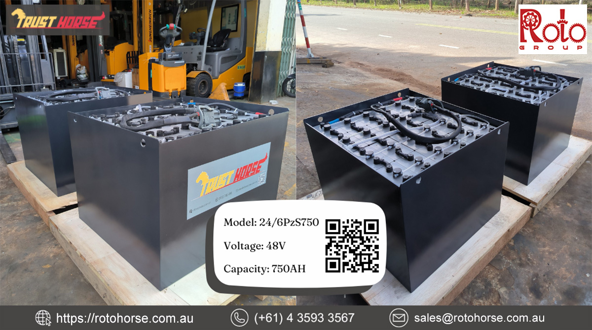 Trust Horse Battery Horse 24/6PzS750
